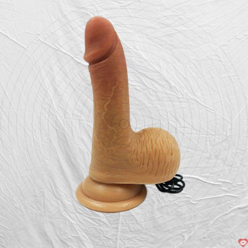 Dương Vật Giả Silicon Gắn Tường 2 Thớ Rung Nature Cock Kích Thích 