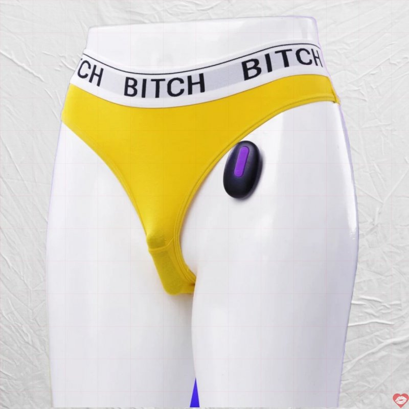 Lovetoy Bitch quần chíp rung điều khiển từ xa mọi lúc mọi nơi
