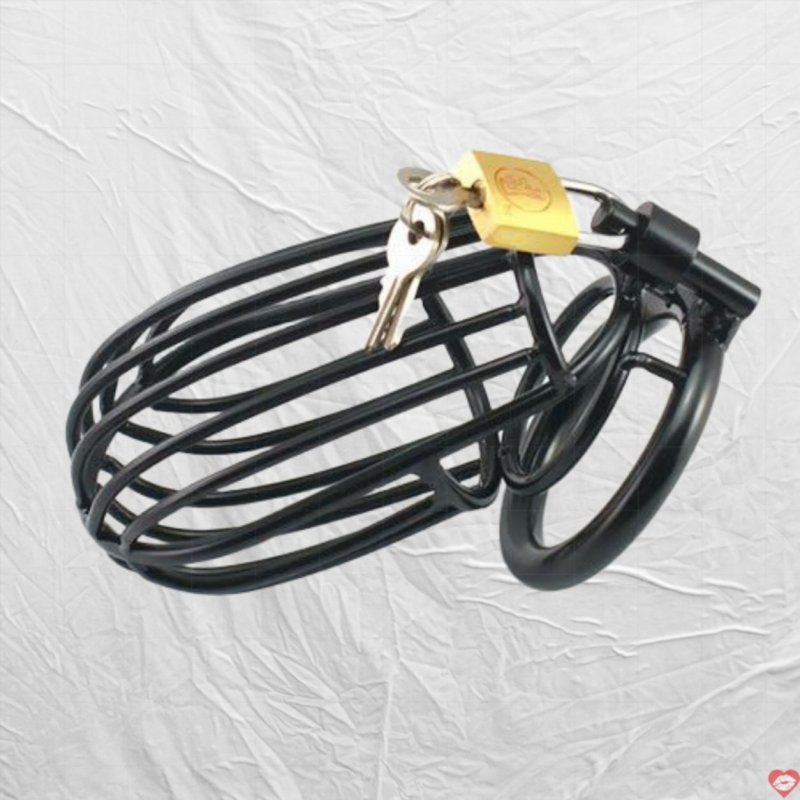 Khóa thép không gỉ lồng chim cao cấp an toàn bền đẹp giá tốt 