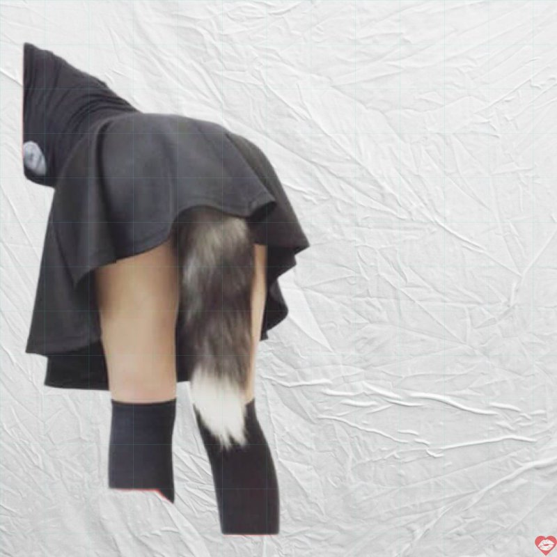 Đồ Chơi SM Là Gì? Tại Sao Đuôi Cáo Cosplay Cắm Hậu Môn Gây Sốt? - SHP982