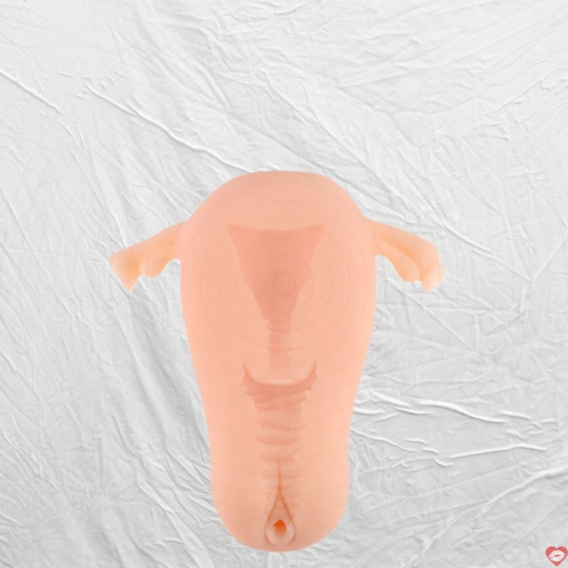 Đồ chơi sextoy nam siêu thực kích thích cảm giác chân thật 