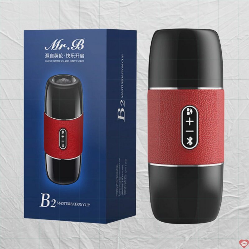 Âm đạo giả đa năng Mr.B B2